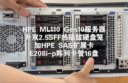 HPE ML110 Gen10 服务器 升级 双2.5 SFF热插拔硬盘笼 加HPE SAS扩展卡 单E208i-p阵列卡管16硬盘/SSD
