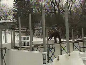 BuildBlock ICF Featured on Hometime Episode 2705