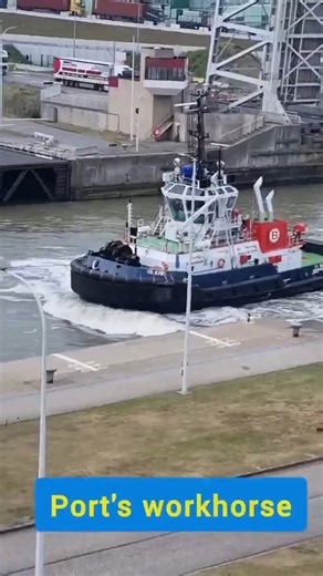 🚢💥 When Precision Meets Power at the Locks ⚓💪 Every time I witness a ship entering the lock, I’m reminded of the incredible choreography between pilots and tugboat crews. 🛳 Guiding a vessel weighing thousands of tonnes into a narrow space? It’s not just skill — it’s art backed by power and precision. 🎧 Real-time coordination with tug masters 🔁 Push, pull, brake — all in perfect harmony 🚫 Zero margin for error These tugboats are the silent giants of the port — using brute force with surgic
