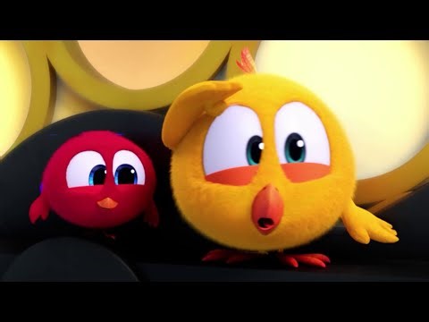 Where's Chicky? | Chicky in Holidays | A Xilam Series | Xilam TV