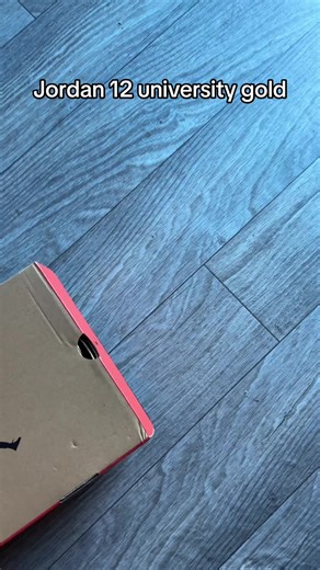 Jordan 12 University Gold: A Sneaker Enthusiast's Dream