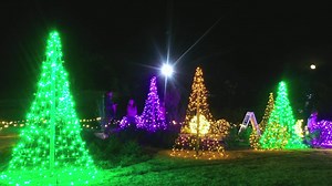 Grab a drink, stroll the lights, and listen to live jazz on Sunday nights at Botanic Garden of Lights! See the full lineup and get tickets now. | Tulsa Botanic Garden