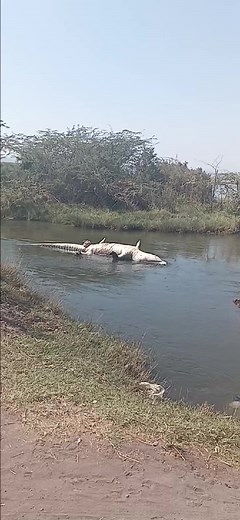 spare machinery (@spare.machinery)’s videos with original sound - spare machinery