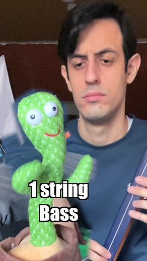 He challenged me again #cactus #memes #meme #davie504 | 24 string bass