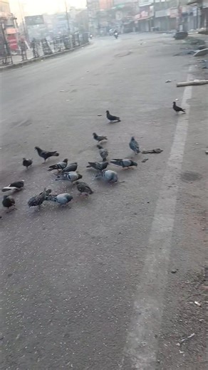 Mere morning ki shuruvat mere kam ke sath ♥️ | Angel world