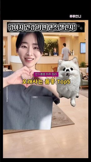 수의사가 알려주는 반려견 평균 수명✨