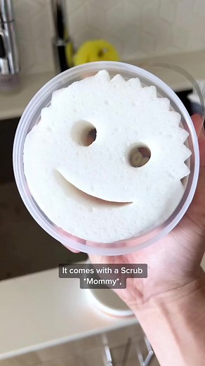 Magical Kitchen Cleaning Hacks with Scrub Daddy and Power Paste