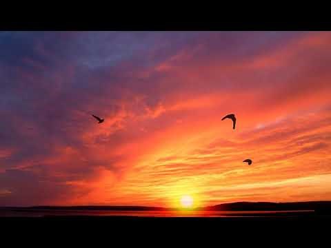 4K Videos (ULTRA HD) || Red Sky || Nature || Background Videos || Non Copyrighted Videos