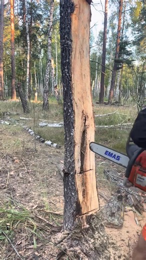 Weekend workout, lumberjack edition 😂🪓 #chainsaw #asmr #funny | Liss.tv6