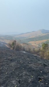813K views · 8.7K reactions | Luego de 4 días de intensa labor de un grupo de voluntarios se pudo controlar en un 80% el incendio forestal que se está registrando en el sector cuarto piso de la ciudad de Bellavista, capital de la provincia del mismo nombre. Hoy, desde muy temprano los pobladores del sector Mishquiyacu y bomberos participan de la labor de acabar totalmente el siniestro, lo que se daría a las 10:00 de la mañana. | Exitosa Tarapoto | Facebook