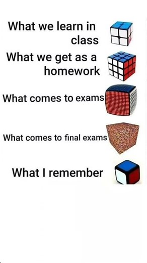 We cooked fr 🔥🔥 #meme