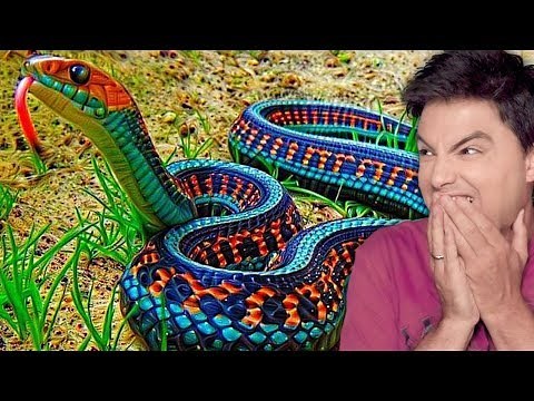 10 ANIMAIS MAIS LINDOS DO MUNDO [+10]