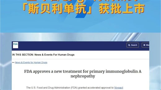 全球首创！IgA肾病新药「斯贝利单抗」获批上市