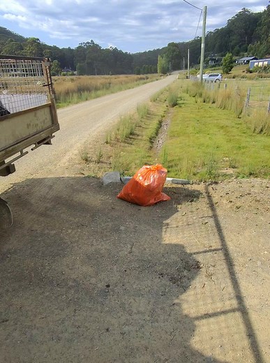 Maximizing Profit with Unique Coin Collection Strategies