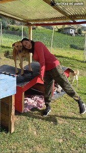 135K views · 10K reactions | Gran Tour por la Casa Hogar | Patitas de amor | Facebook