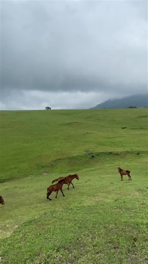 Fulan Fehan Salah satu destinasi yang teramat sangat cantik di Pulau Timor Tips kalau kesini disarankan waktu Green Season & Pagi hari ya #fulanfehan #Fyp #WisataNTT #indonesia