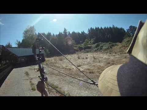 Archery Practice with Mathews Solo Cam Bow