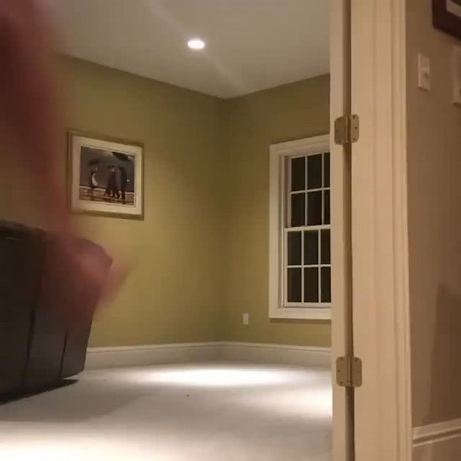 @maximilian.jc #tumbling #crazy #doublebackflip #crazy #inthehouse | Cyber Street Flips