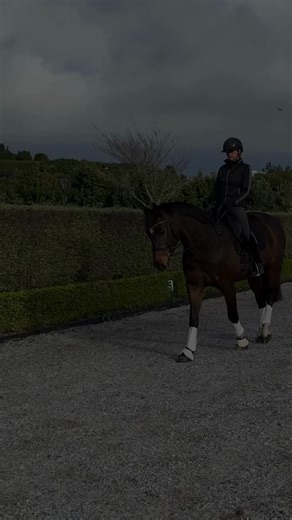 ❌ Gripping through the hip flexors ❌ Locking up through the pelvis ❌ Shifting unevenly from side to side These patterns don’t just affect comfort — they block your ability to move with your horse. When your hips are tight, imbalanced, or lacking control, your seat can’t stay grounded — no matter how hard you try. That’s why building true hip suppleness is key. There are 21 muscles that influence your hips and pelvis in the saddle. And the key to softness is restoring balance and symmetry to supp