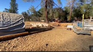 13K views · 365 reactions | Please subscribe to our Youtube Channel:...