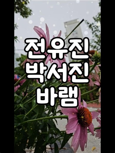 전유진, 박서진의 바램 #가수전유진 #미스트롯 #전유진노래 #가수박서진 #미스터트롯 #박서진노래 #현역가왕