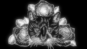 Animation Cat That Lights Stock Footage Video (100% Royalty-free) 1049508652 | Shutterstock