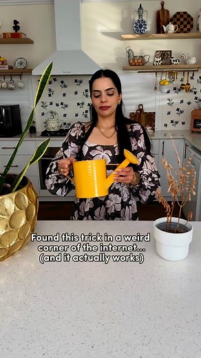 6.4K reactions · 133 comments | I’ve tried every plant care routine,...
