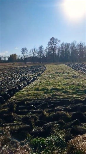 Beautiful day! #plowing #farming #antique #johndeere #antiquetractorlife #tractor #fieldwork #farm