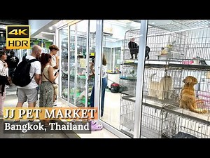 [BANGKOK] Chatuchak Weekend Market Pet Zone "Biggest Pet Market In Bangkok" | Thailand [4K HDR]