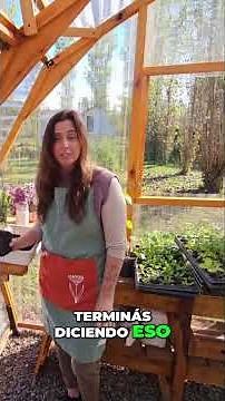 ¿Huerta en casa ¡El secreto para plantar fácil y rápido!