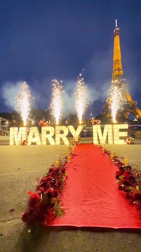 Romantic Paris Proposal Ideas and Planner