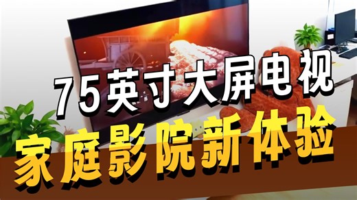TCL雷鸟 【伸缩挂架送装一体】鹤6 ULTRA 25款（PLUS版）75英寸QD-MiniLED平板电视机75S595C Ultra-A