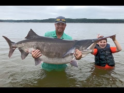 Keystone Lake Frenzy- The World Record Paddlefish Story