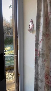 7.8K views · 164 reactions | shabbychic.com | Shabby Chic | Facebook