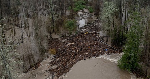What to do with flood debris in Western WA