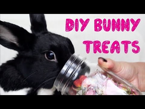 D.I.Y. HEALTHY BUNNY TREATS