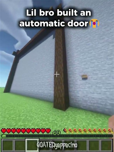 Automatic Door 😭💀\n#mc #minecraft #door #funny #comedy #jokes #denzelwashington #fyp #shorts #seed