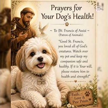 Prayer for Dog’s Healing ~ St. Francis of Assisi & Heavenly Father!
