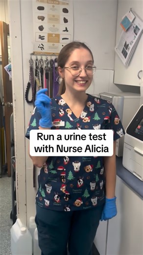 1.4K views · 13 reactions | Ever wondered what’s involved in a urine test? Check out how we run these using our in house machines. Urine testing can give us so much information about your pets health, especially when accompanied by a blood test! #veterinarian #pethealth #petsofinsta #petlover #urine | Great Western Animal Hospital | Facebook