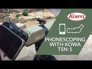 iPhone Digiscoping with Kowa TSN-1 - Kowa System in Action!