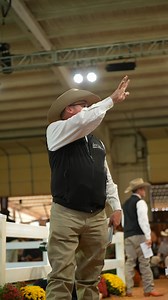 𝘛𝘩𝘪𝘴 𝘪𝘴 𝘸𝘩𝘢𝘵 𝘸𝘦 𝘤𝘢𝘮𝘦 𝘧𝘰𝘳. #WesternBloodstock | Western Bloodstock LTD.