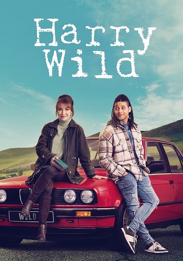 Harry Wild Season 4 - watch full episodes streaming online
