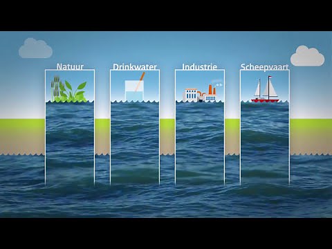 Hoe verdelen we het water in de Maas bij droogte? | Animatie | Rijkswaterstaat