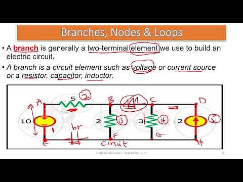 Ep 3 Branches, Nodes & Loops