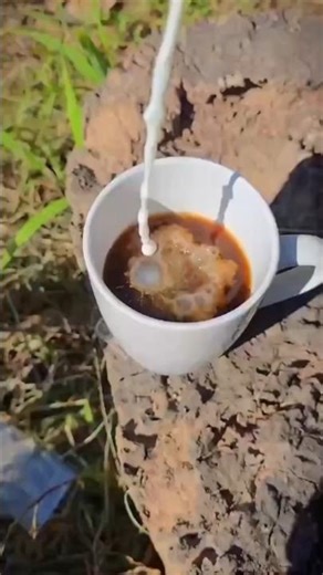 Ahmed khan #news #quotes #haveit#babyanimals #ahmedkhan #birds #buti#babybirds #motivation #lifeisb