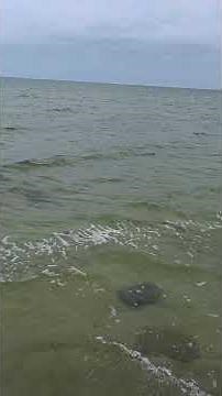 Pine Island Beach