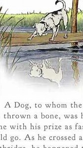 The Dog and His Reflection