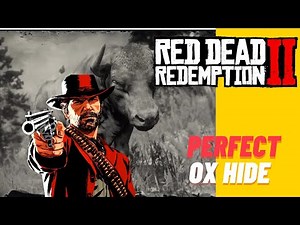 Red Dead Redemption 2 Cara Mendapatkan Perfect Ox Hide