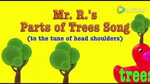 植物英语儿歌-Parts of Trees Song