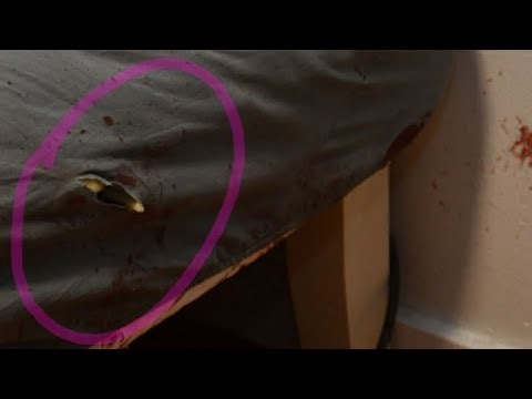 Theory On The Sheath